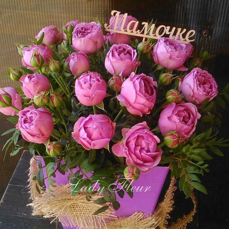 Пионовидные розы в коробке «Фейерверк чувств»