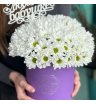 Композиция в коробке «Белокрылые лошадки»