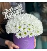 Композиция в коробке «Белокрылые лошадки» 1
