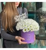 Композиция в коробке «Белокрылые лошадки» 2