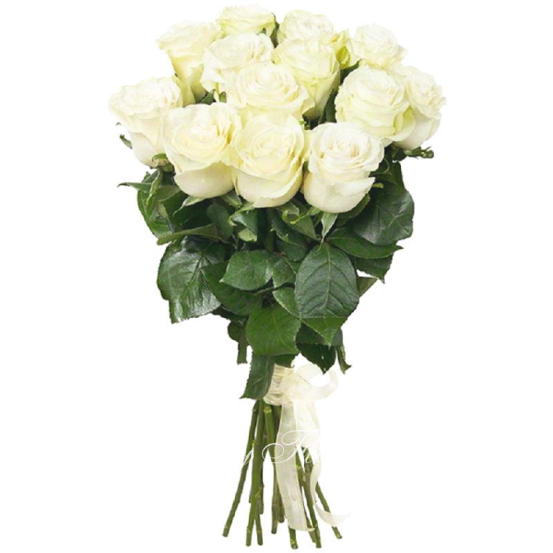 Белые розы «Нежные чувства»