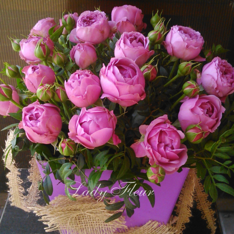 Пионовидные розы в коробке «Фейерверк чувств» 1
