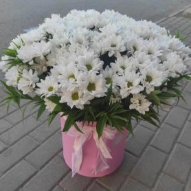 Коробка с хризантемы «Облако» от интернет-магазина «Lady fleur 63» в Тольятти
