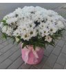 Композиция в коробке «Облако»