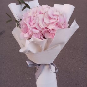 гортензия для девочки от интернет-магазина «Lady fleur 63» в Тольятти