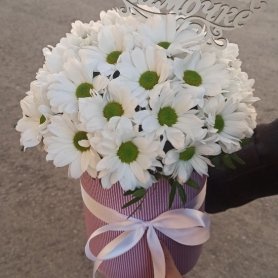 Ромашки для мамы от интернет-магазина «Lady fleur 63» в Тольятти