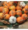 Новогодний букет «Мандариновый рай» 1