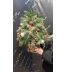 Новогодняя композиция «Хвойное чудо»