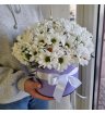 Композиция в коробке «Белый снег» 6