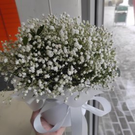 гипсофила в коробке от интернет-магазина «Lady fleur 63» в Тольятти