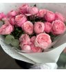 пионовидные кустовые розы  сильва пинк 1