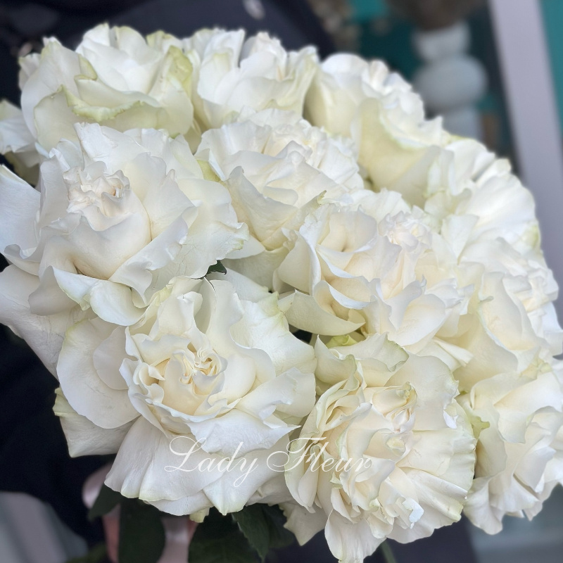 ажурные белые розы 2
