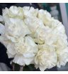 Монобукет из белых роз «Ажурные белые розы» 2