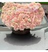 Композиция из 101 французской розы «Океан Радости»