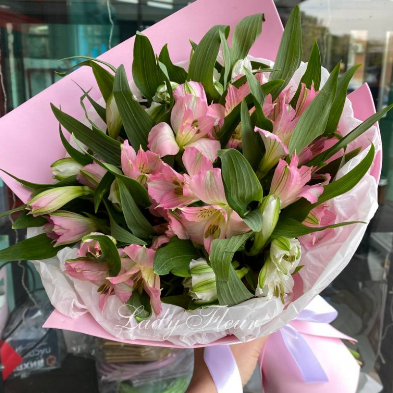 Розовые альстромерии
