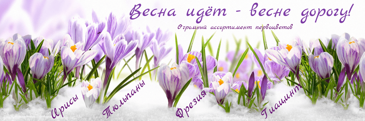 Весенние цветы с доставкой в Тольятти