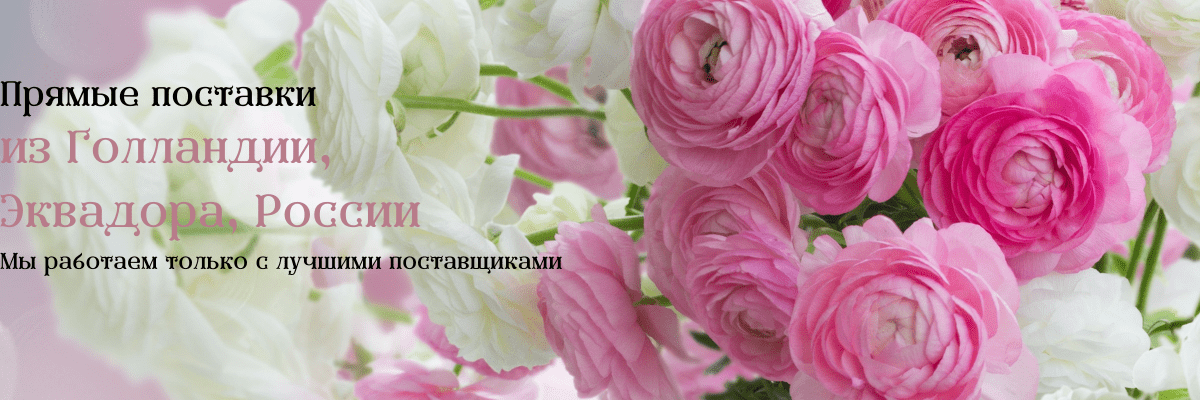 Прямые поставки цветов в Тольятти
